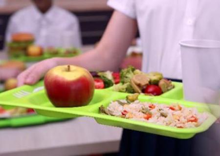 IAD para el Suministro de alimentos para la operación del Programa de Alimentación Escolar – PAE por parte de la Secretaria de Educación del Distrito – SED 4ta Generación